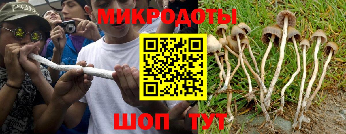 Галлюциногенные грибы Psilocybe  Вход с VPN  Муравленко  Псилоцибиновые грибы Magic Shrooms 